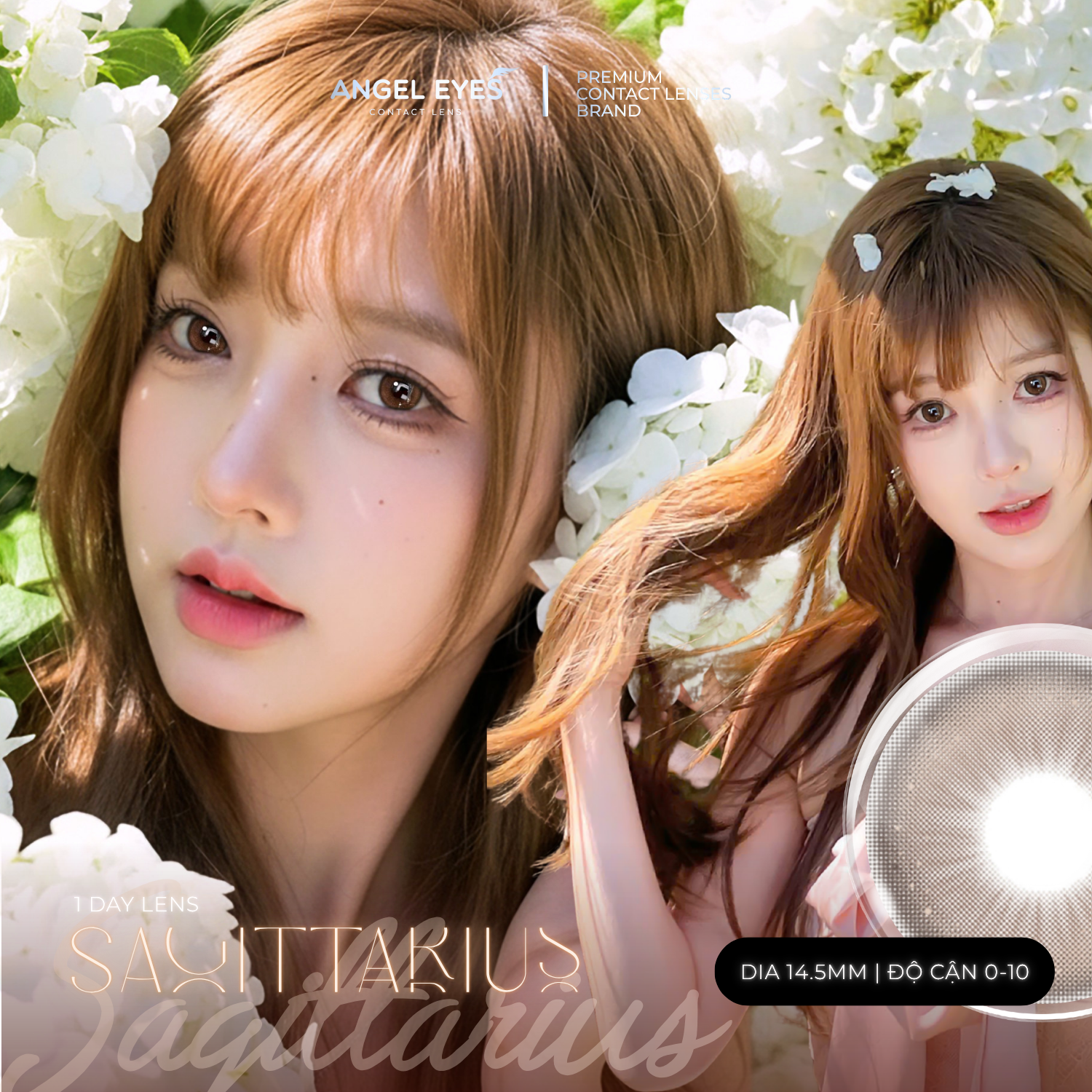 Lens 1 ngày màu có độ cận nâu giãn tròng tự nhiên SAGITTARIUS siêu ẩm nhãn hiệu Angel Eyes Hàn Quốc - Đường kính 14.5mm - Độ cận 0-10
