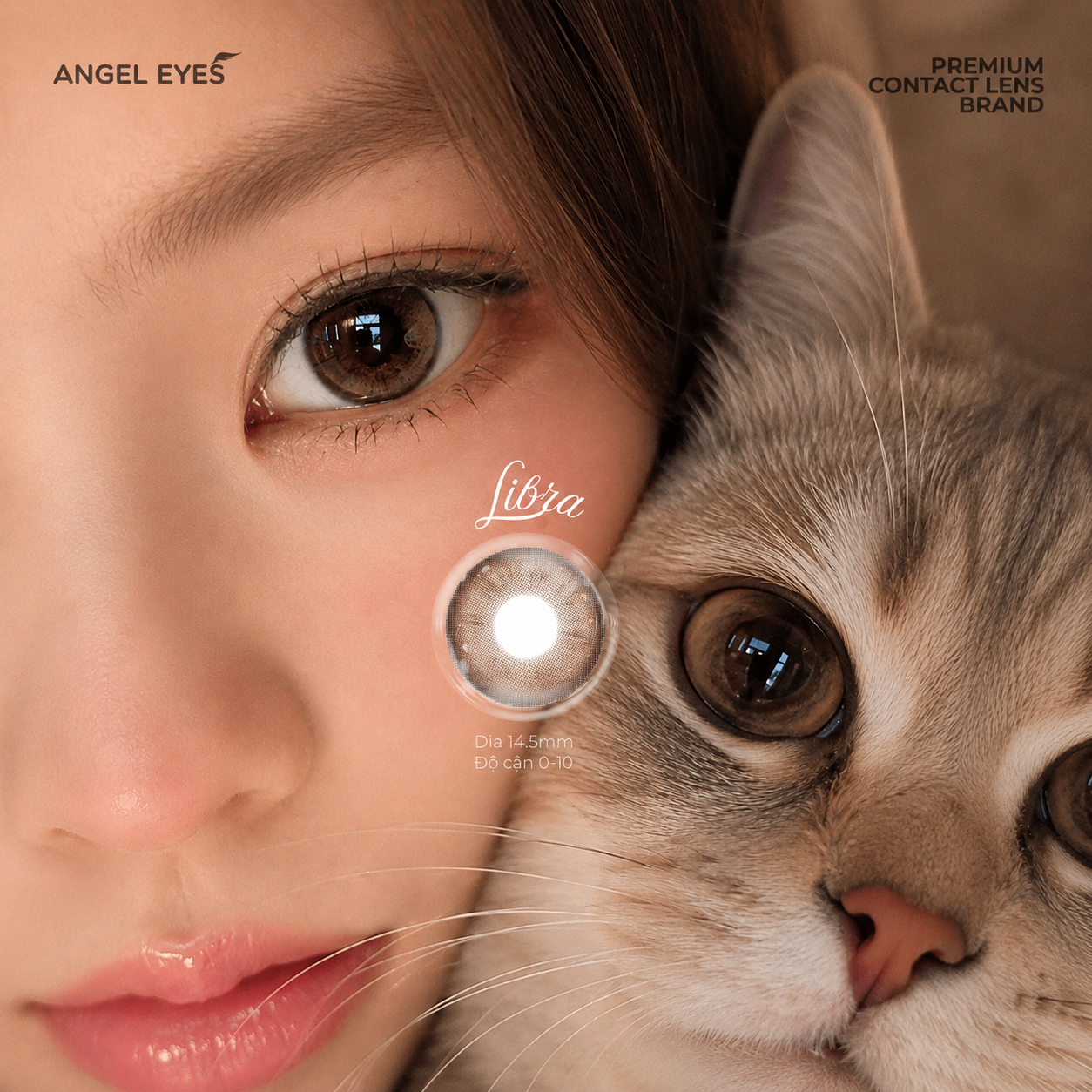 Lens 1 ngày màu có độ cận nâu giãn tròng tự nhiên LIBRA siêu ẩm nhãn hiệu Angel Eyes Hàn Quốc - Đường kính 14.0mm - Độ cận 0-10