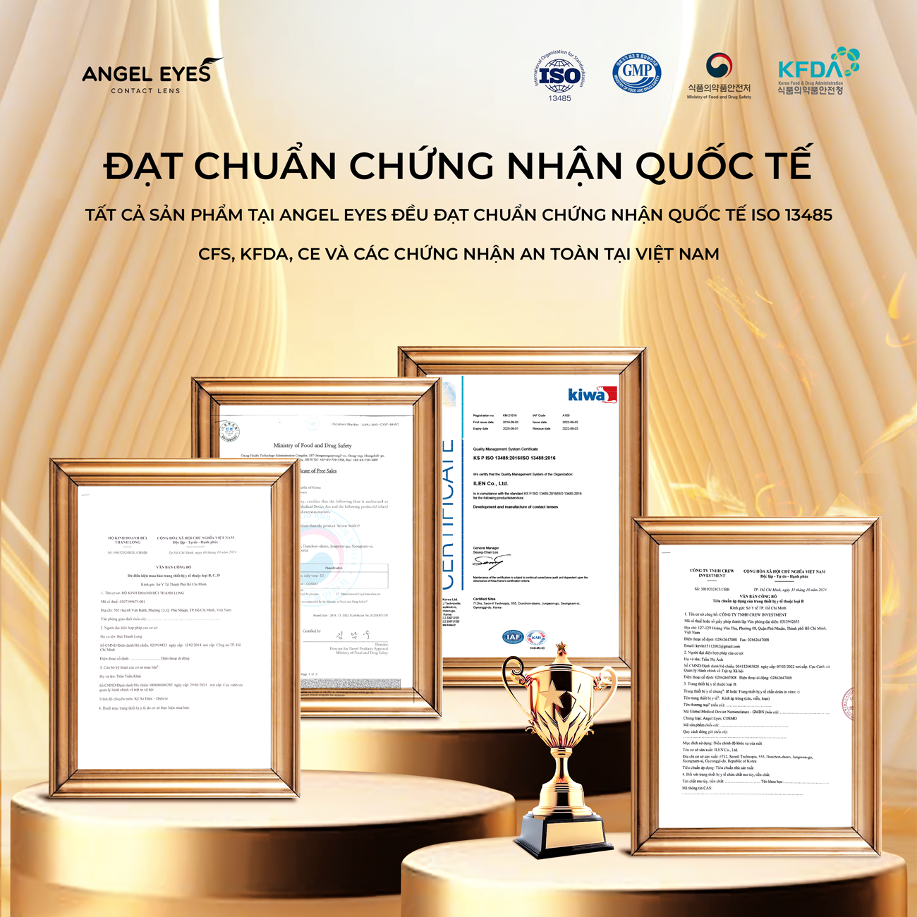 LENS 1 NGÀY TRONG SUỐT | LENS 1 NGÀY KHÔNG MÀU ANGEL EYES