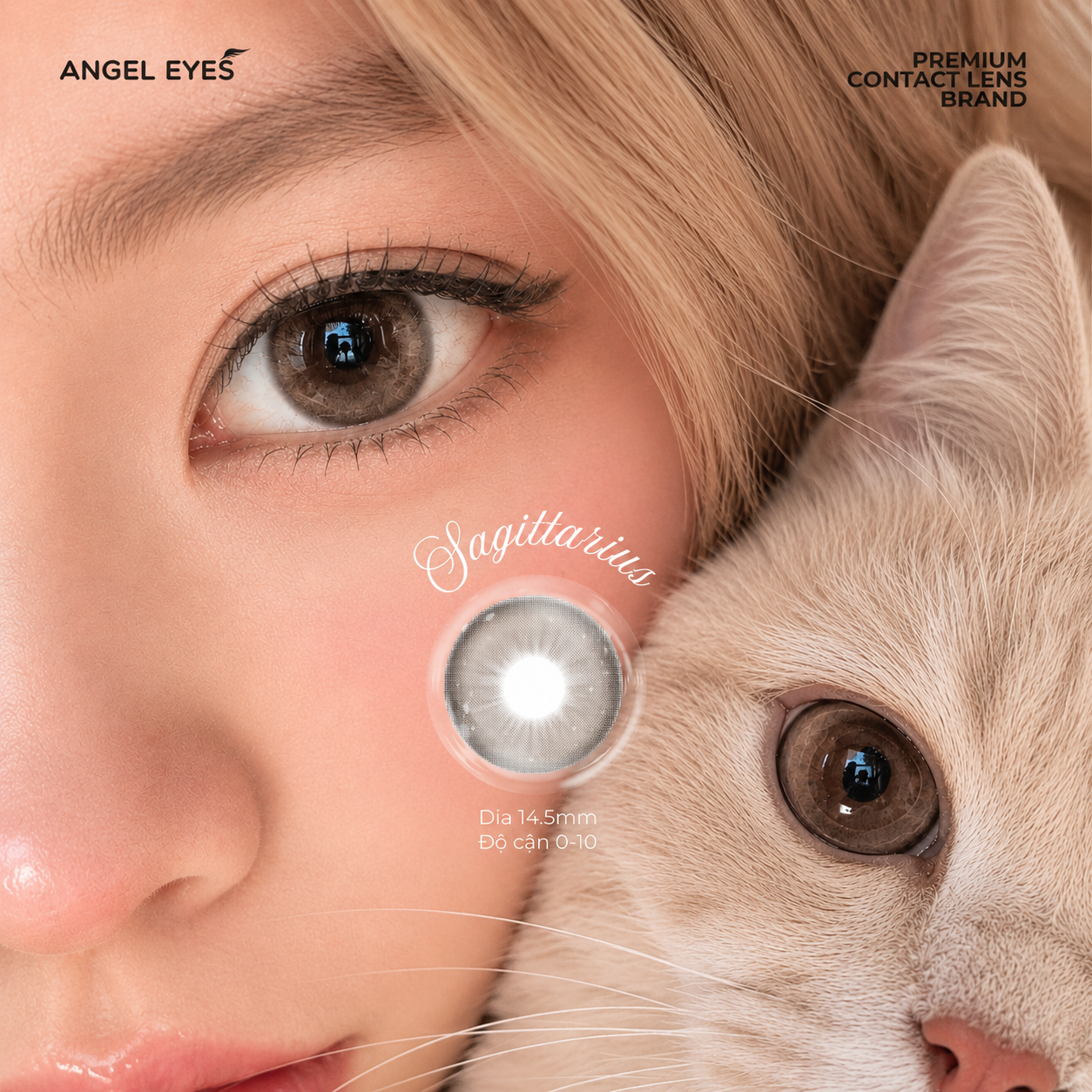 Lens 1 ngày màu có độ cận nâu giãn tròng tự nhiên SAGITTARIUS siêu ẩm nhãn hiệu Angel Eyes Hàn Quốc - Đường kính 14.5mm - Độ cận 0-10