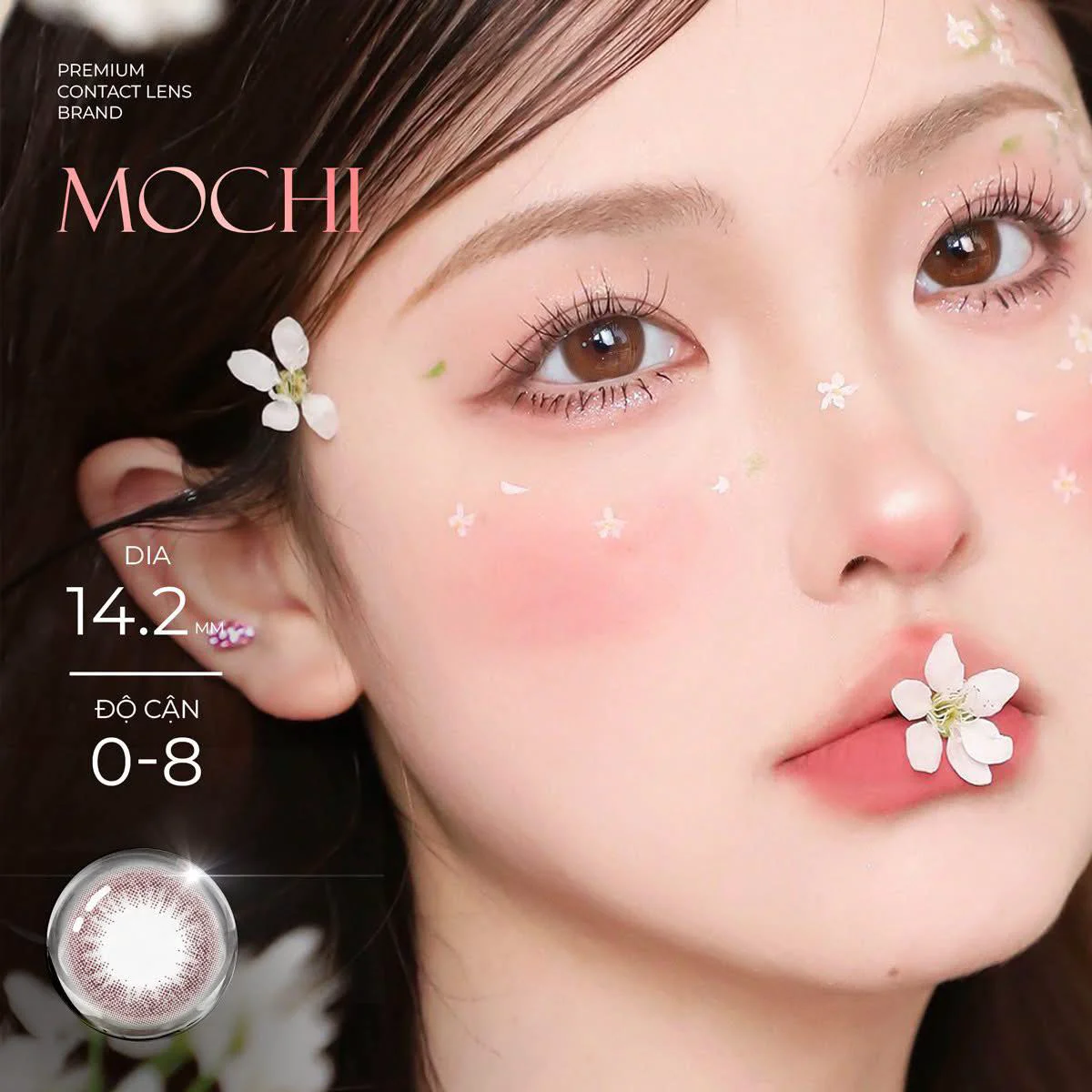 Kính áp tròng Mochi Brown