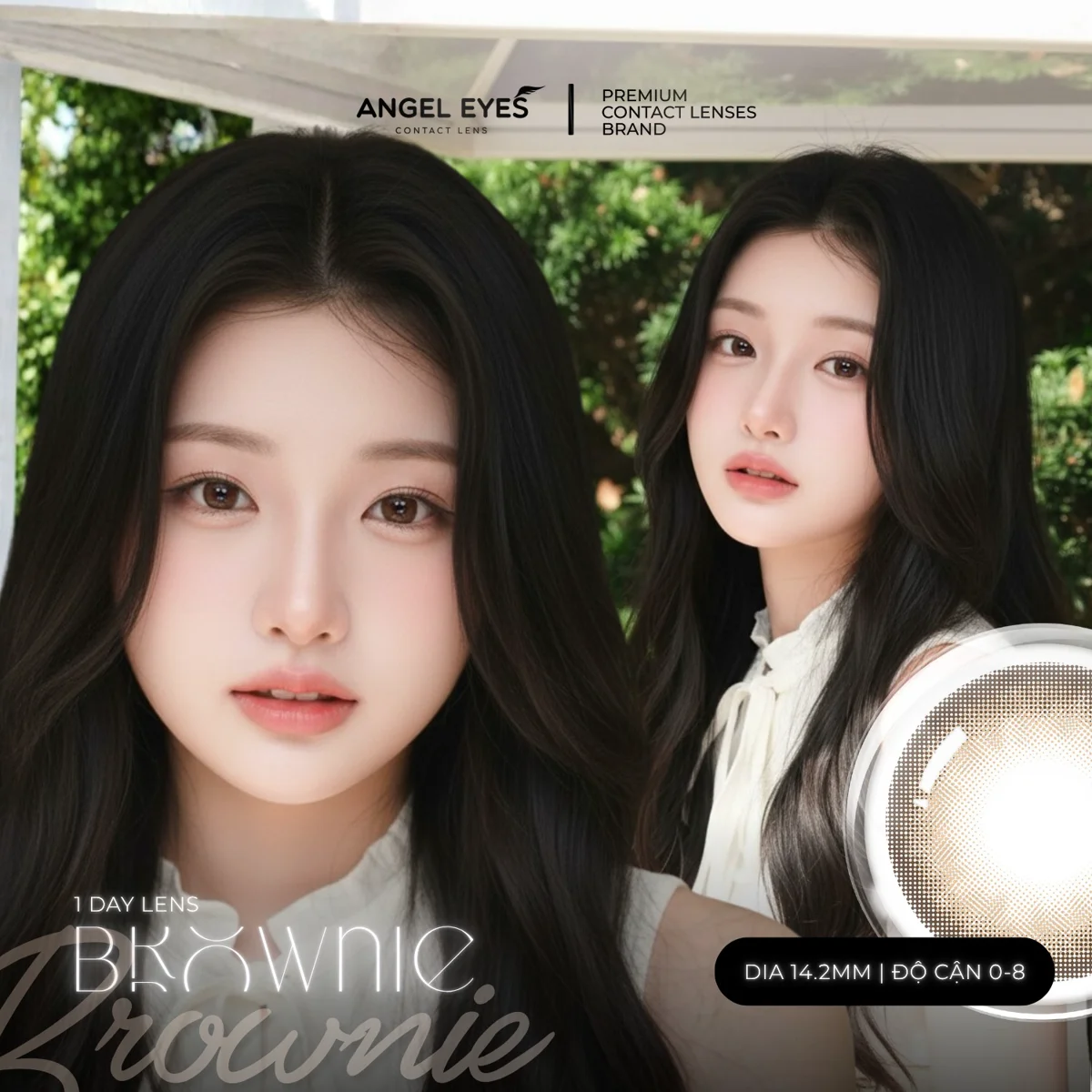 Lens 1 ngày màu Nâu Brownie Angel Eyes - Đường kính 14.2mm - Độ cận 0-8