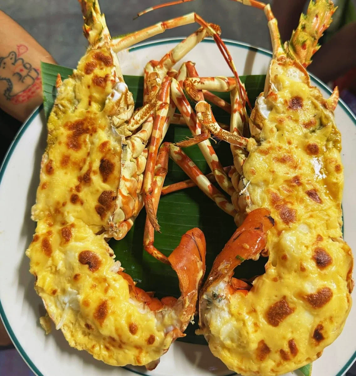 Hình ảnh