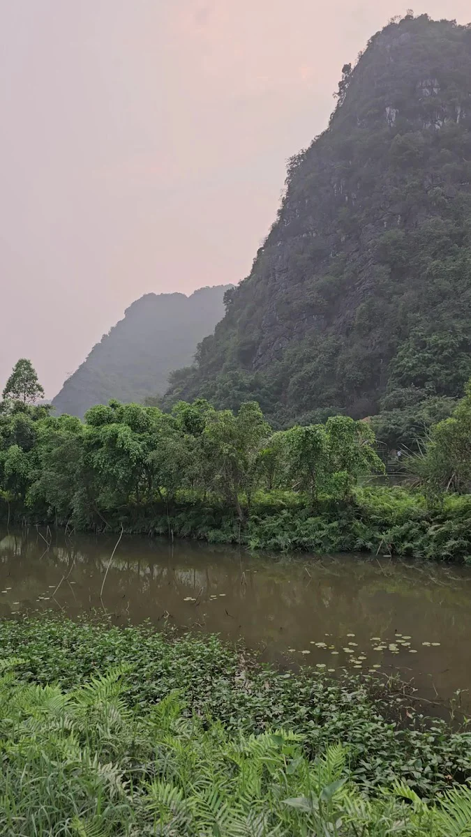 Hình ảnh